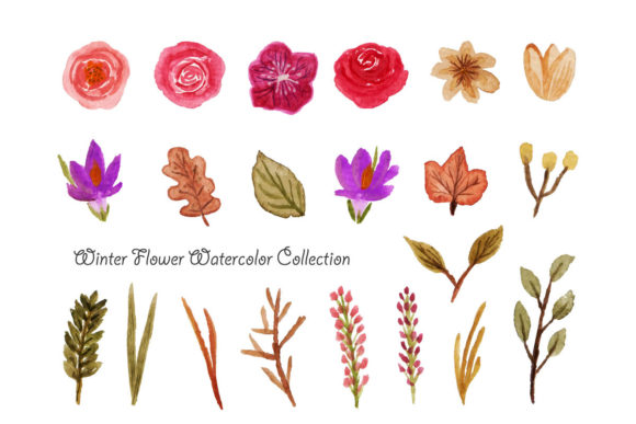 Download Winter Flower Watercolor - Watercolor Collection
