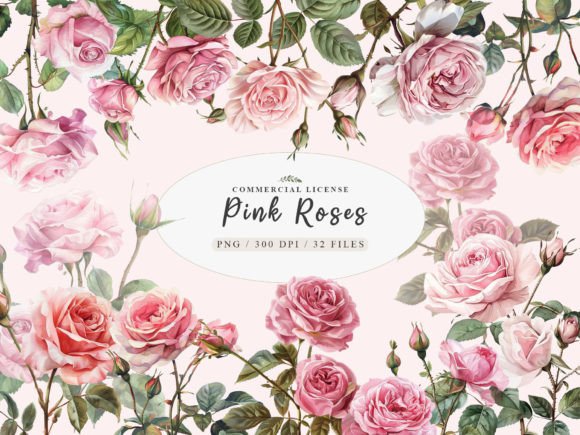 Download Watercolor Pink Rose Clipart, Blush Rose - Watercolor Collection