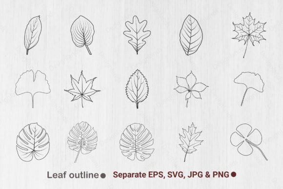 Download Leaf Outline, Leaves Line Art, Leaf Svg - Leaves Collection