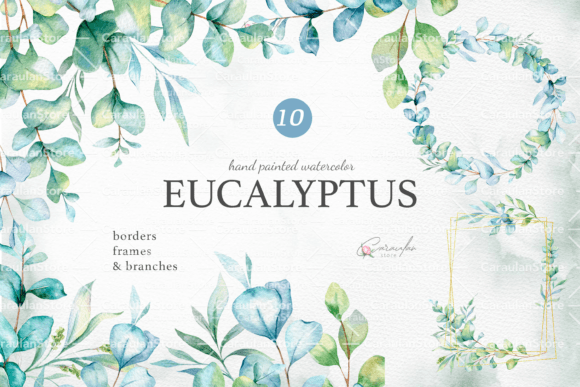 Download Eucalyptus Watercolor Clipart - Watercolor Collection