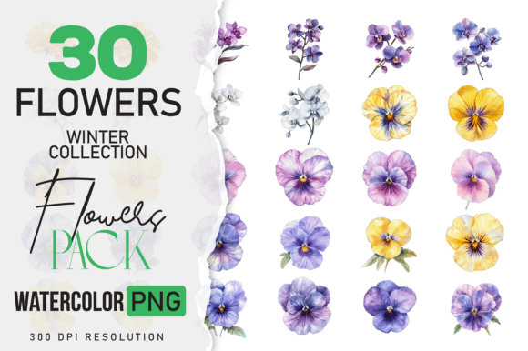 Download Watercolor Winter Flower &amp; Wildlife Pack - Watercolor Collection