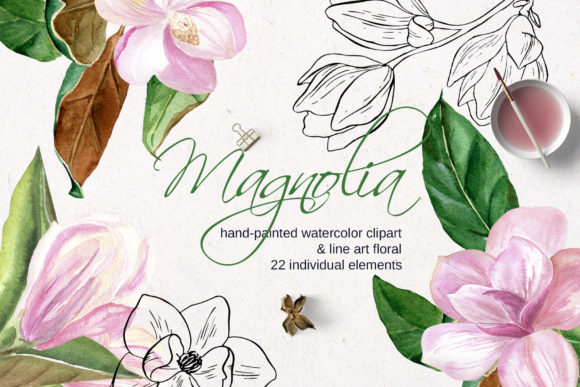Download Pink Magnolia Watercolor, Lineart Flower - Watercolor Collection